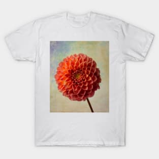 Dahlia Beauty T-Shirt